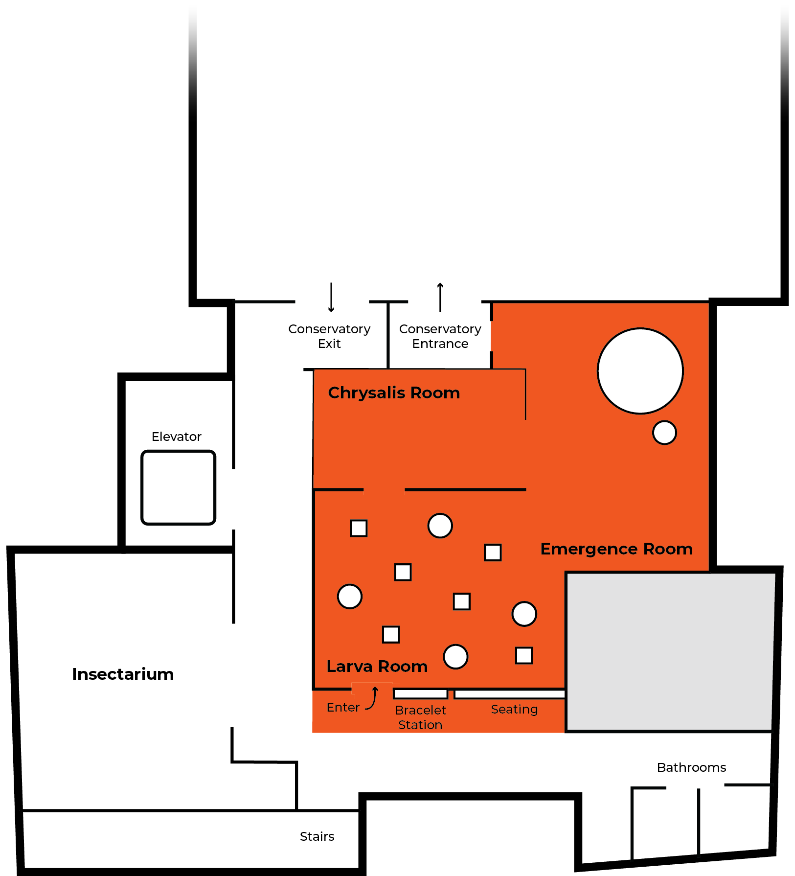 Floor plan of the exhibit. Visitors enter the Larva Room beside the bracelet station and seating, pass into the Chrysalis Room, then the Emergence Room, which opens onto the conservatory entrance. The Insectarium, elevator, stairs and bathrooms sit around it.