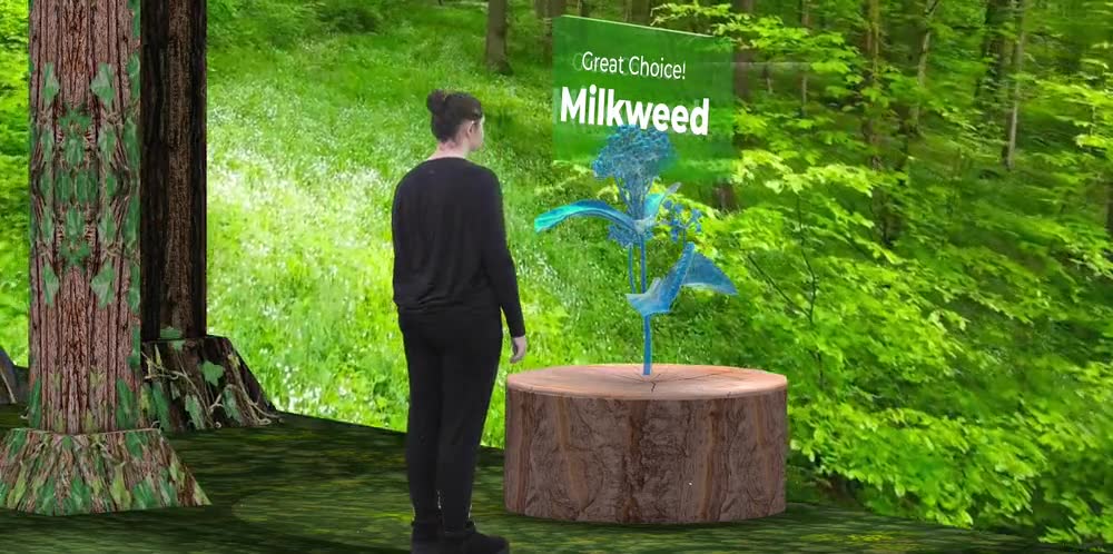 A visitor at the Food station in the projected forest, where a glowing milkweed has grown on a stump under a Great Choice! Milkweed sign.