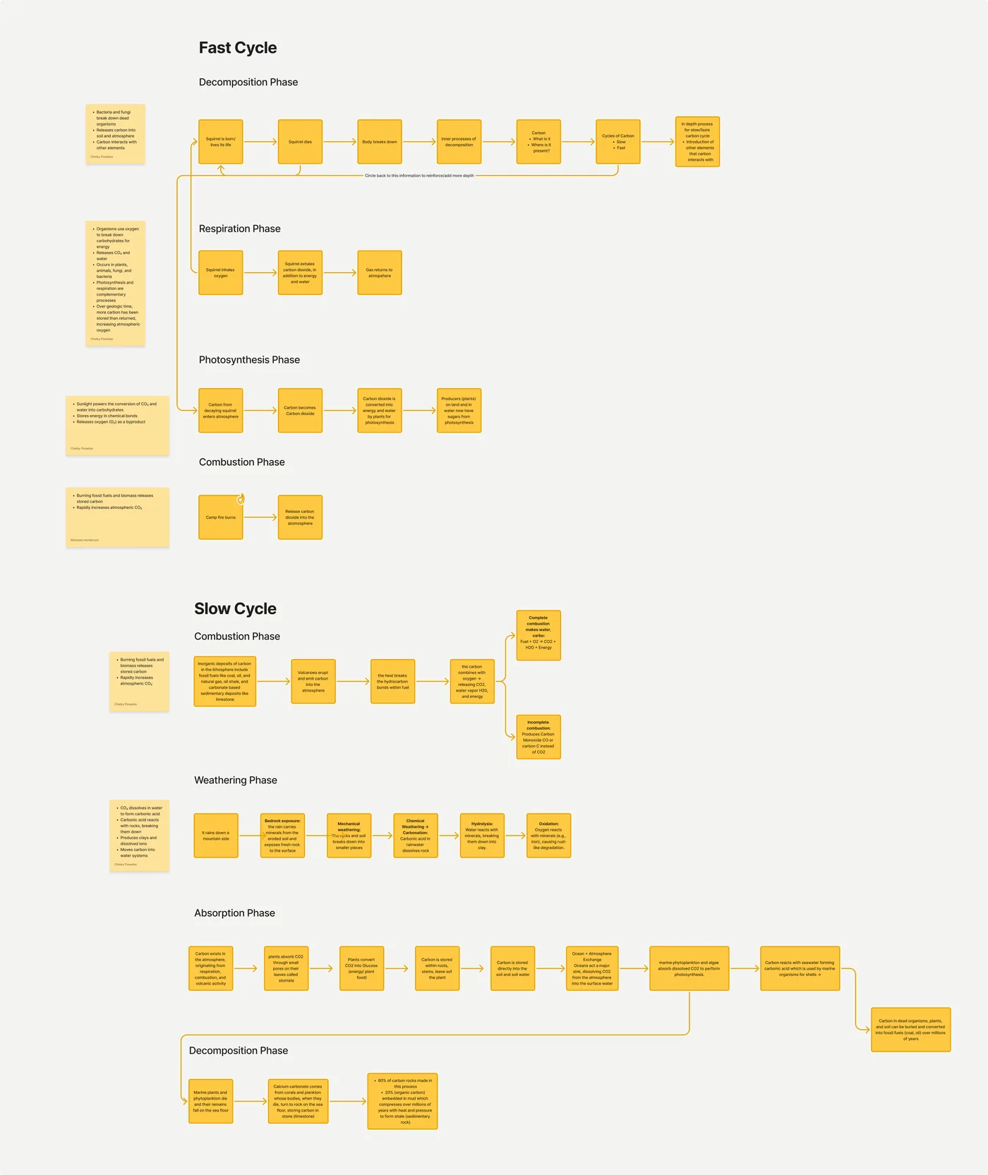 The team's breakdown of the fast and slow carbon cycles as rows of yellow steps: decomposition, respiration, photosynthesis and combustion, then combustion, weathering, absorption and decomposition, with research notes beside each phase.