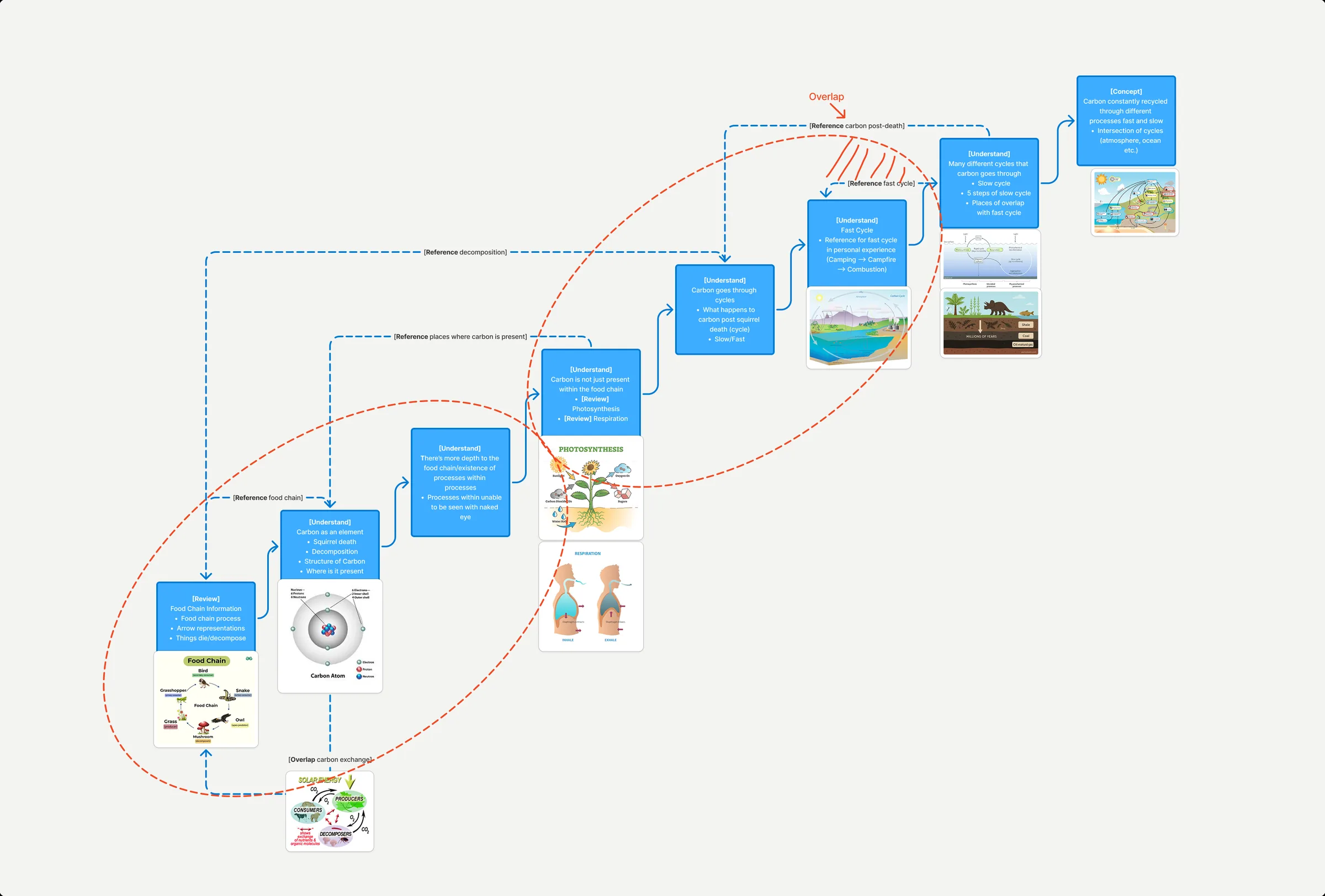 The Carbon Cycle team's learning progression: blue steps climb from the food chain, to carbon as an element, to photosynthesis and respiration, to the fast and slow cycles, ending at carbon constantly recycled. Dashed arrows reference earlier steps and red ellipses circle where they overlap.