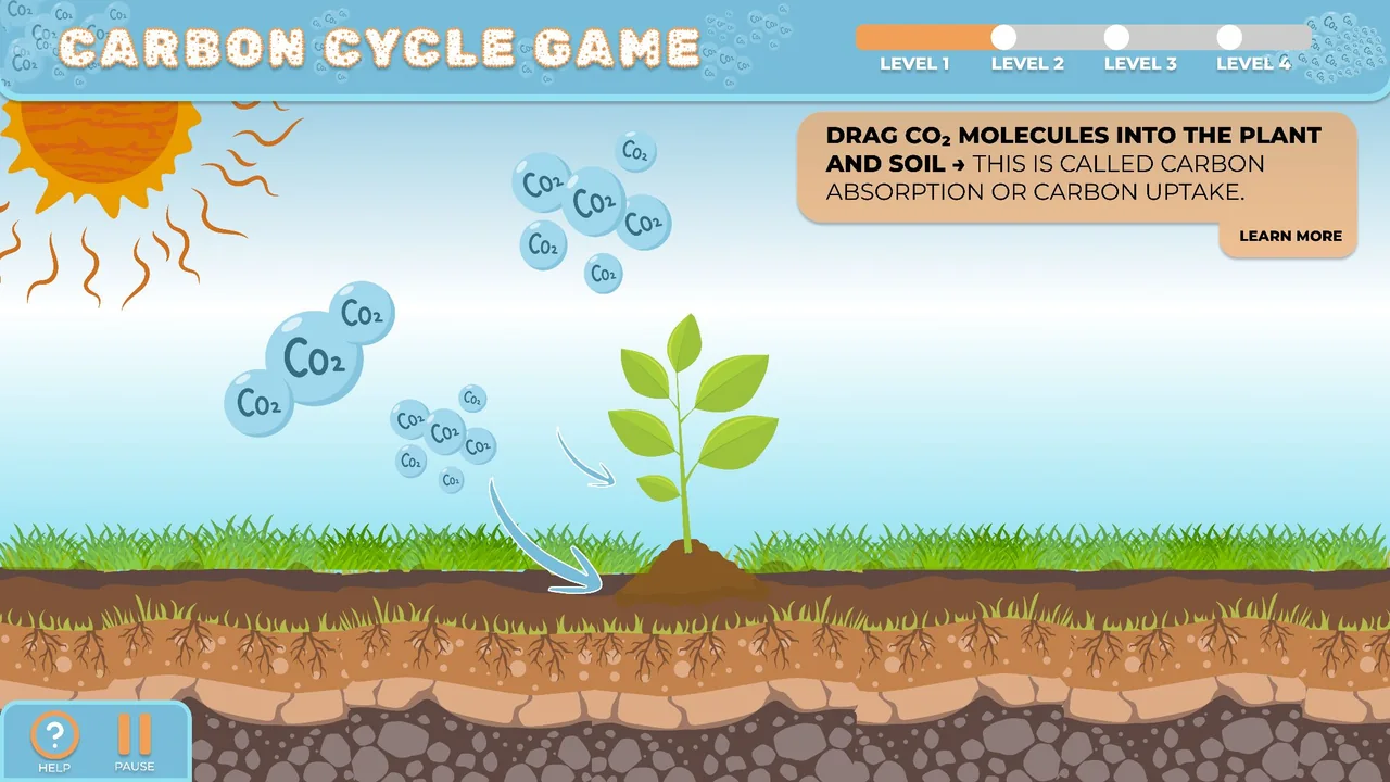 Carbon Cycle Game: drag CO2 molecules into the plant and soil, with the sun and a seedling above layers of soil.